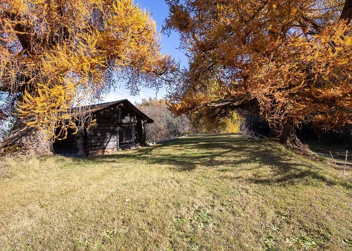 Supersaxo Quiet & Charming 8 Pers Agettes